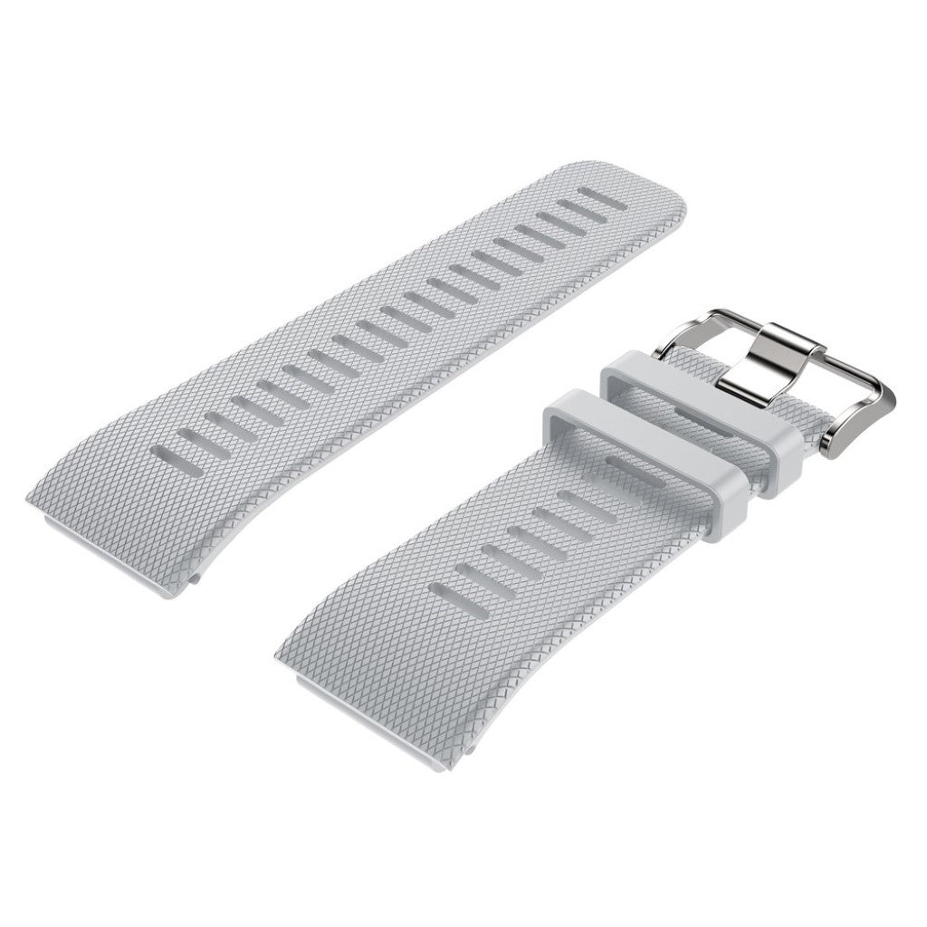 Rigtigt sejt Garmin Vivoactive HR Silikone Rem - Sølv#serie_8