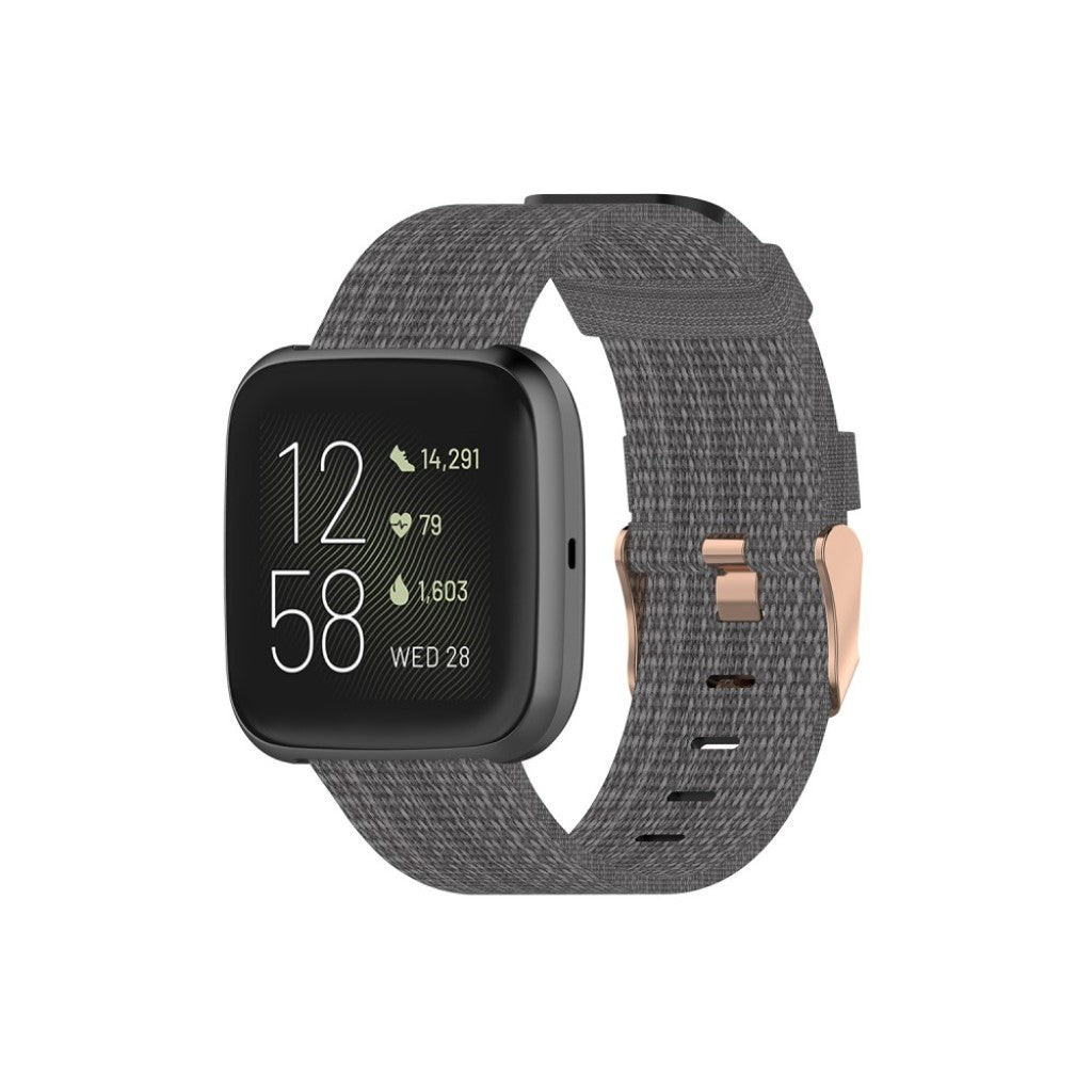 Helt vildt rart Fitbit Versa 2 / Fitbit Blaze Nylon Rem - Sølv#serie_10